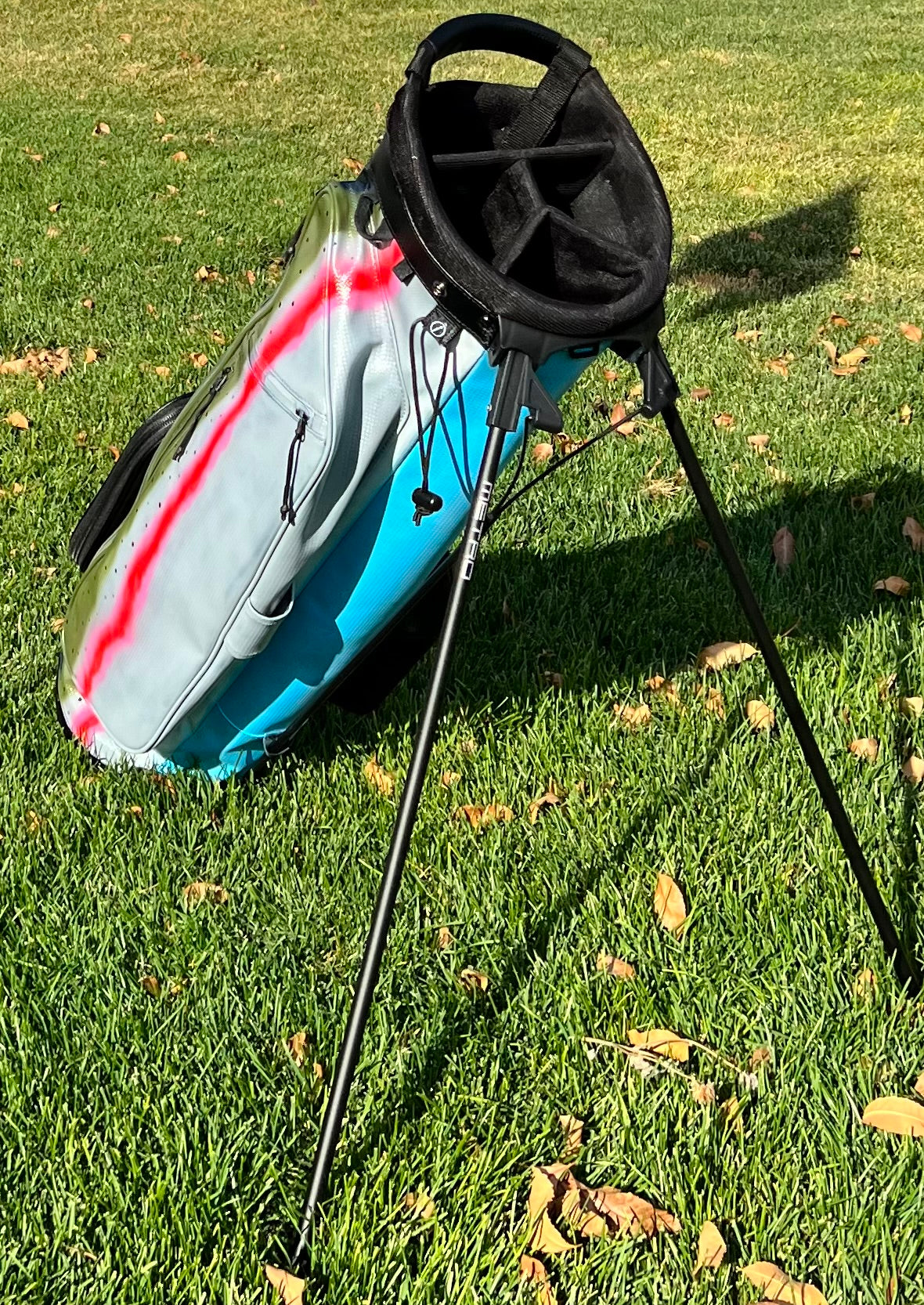 Hand painted rainbow trout stand bag